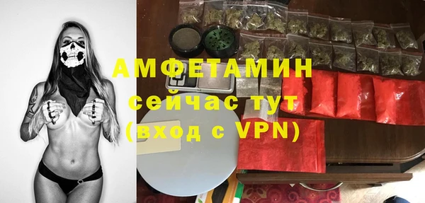 прущие грибы Белокуриха