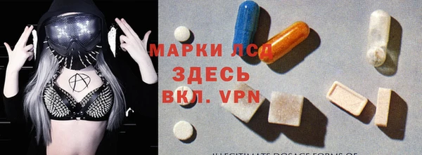 стафф Баксан