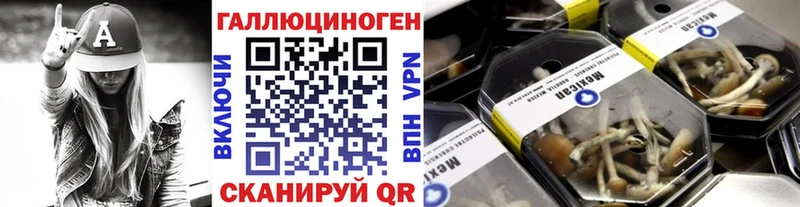 нарко площадка какой сайт  Стрежевой  Псилоцибиновые грибы Psilocybine cubensis 